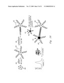 Functionalized Encoded Apoferritin Nanoparticles and Processes for Making and Using Same diagram and image