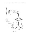 Functionalized Encoded Apoferritin Nanoparticles and Processes for Making and Using Same diagram and image