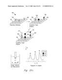 Functionalized Encoded Apoferritin Nanoparticles and Processes for Making and Using Same diagram and image