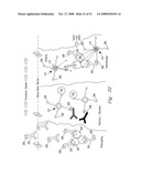 Functionalized Encoded Apoferritin Nanoparticles and Processes for Making and Using Same diagram and image