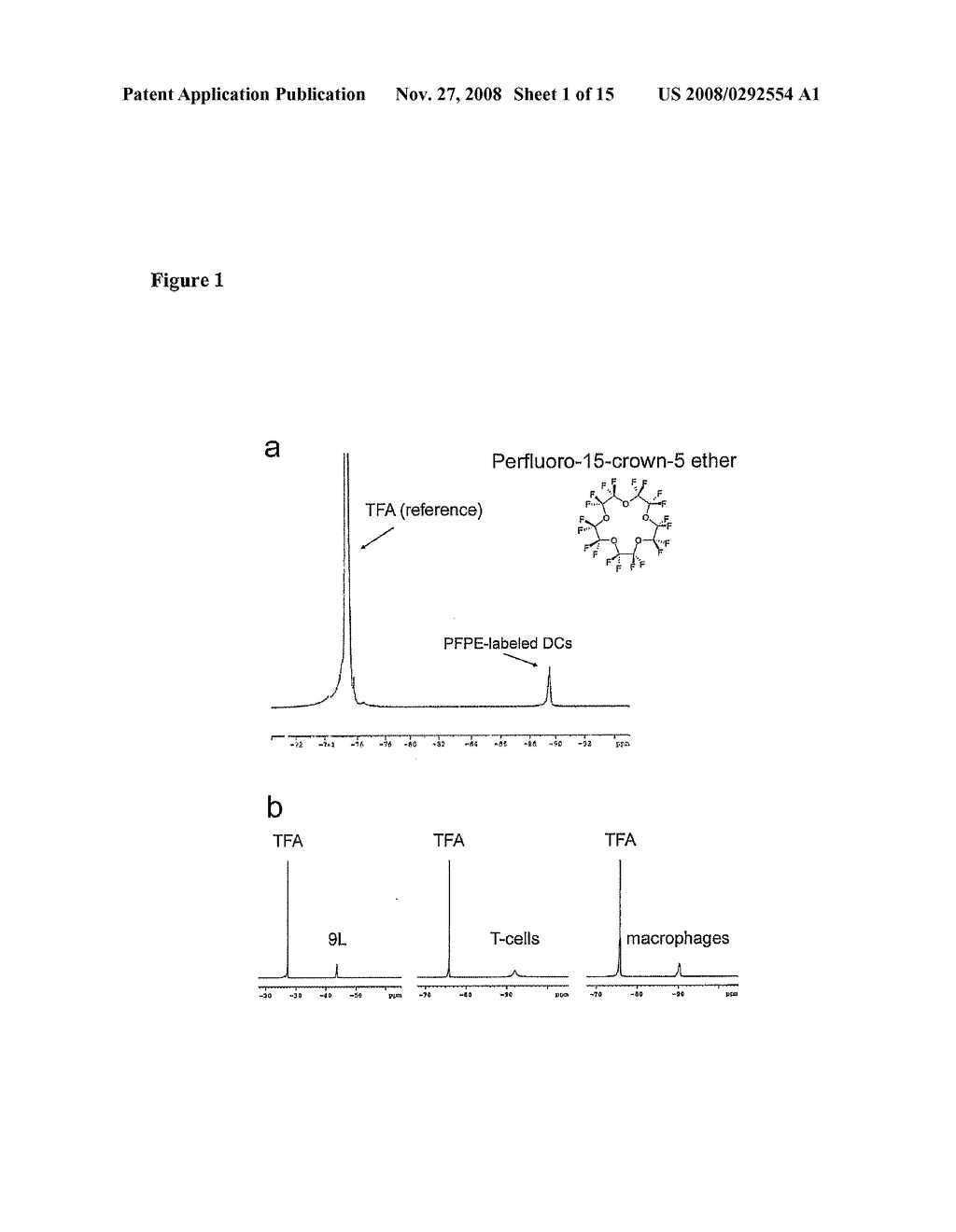 Cellular Labeling for Nuclear Magnetic Resonance Techniques - diagram, schematic, and image 02