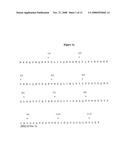 T Cell Receptors Which Specifically Bind to Vygfvracl-Hla-A24 diagram and image