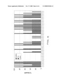 Canine probiotic lactobacilli diagram and image