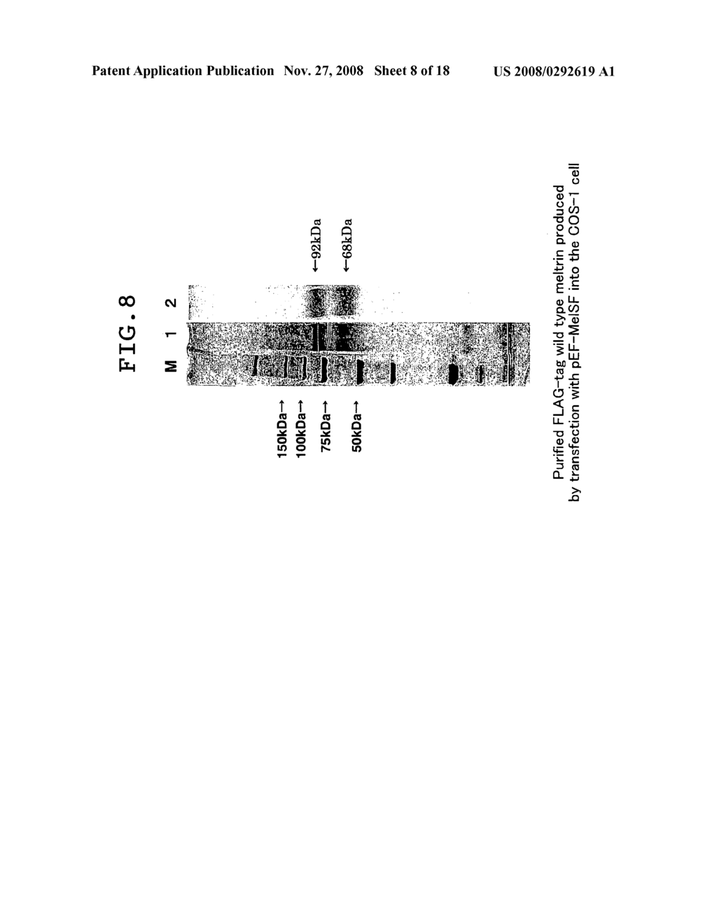 Pharmaceutical Composition Containing Meltrin Antagonist - diagram, schematic, and image 09