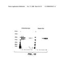 Optimized Fc Variants and Methods for Their Generation diagram and image