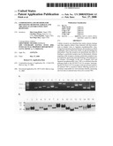 Compositions and methods for identifying response targets and treating flavivirus infection responses diagram and image