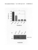 Compositions and methods for identifying response targets and treating flavivirus infection responses diagram and image