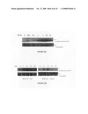 Compositions and methods for identifying response targets and treating flavivirus infection responses diagram and image