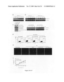 Compositions and methods for identifying response targets and treating flavivirus infection responses diagram and image