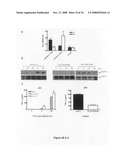 Compositions and methods for identifying response targets and treating flavivirus infection responses diagram and image