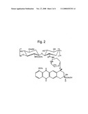 Antitumoral Bioconjugates of Hyaluronic Acid or Its Derivatives Obtained by Indirect Chemical Conjugation, and Their Use in the Pharmaceutical Field diagram and image