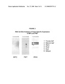 REGULATING ALKALOIDS diagram and image