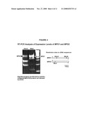 REGULATING ALKALOIDS diagram and image