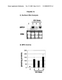 REGULATING ALKALOIDS diagram and image