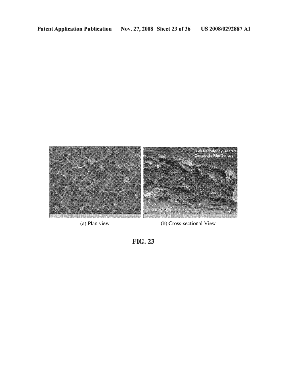 Conductive Multiwalled Carbon Nanotube/Polyethylene Oxide (PEO) Composite Films and Methods of Use - diagram, schematic, and image 24