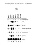 Method of Detecting Metastisizing Cancer Cells Originating in Stomach Cancer diagram and image