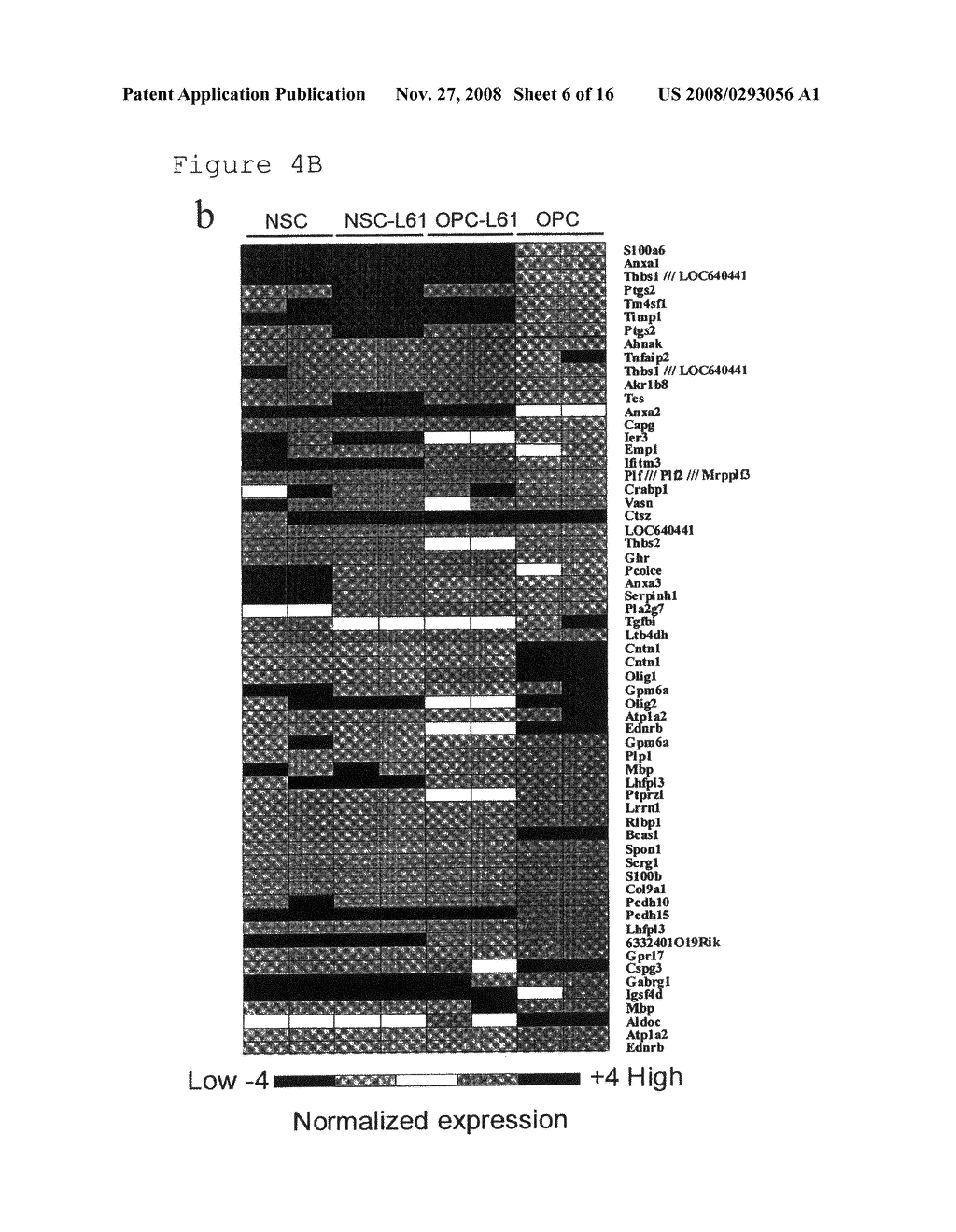 METHOD FOR PREPARING CANCER STEM CELLS - diagram, schematic, and image 07