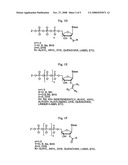 Sequencing and Genotyping Using Reversibly Terminating Nucleotides diagram and image