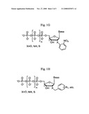 Sequencing and Genotyping Using Reversibly Terminating Nucleotides diagram and image