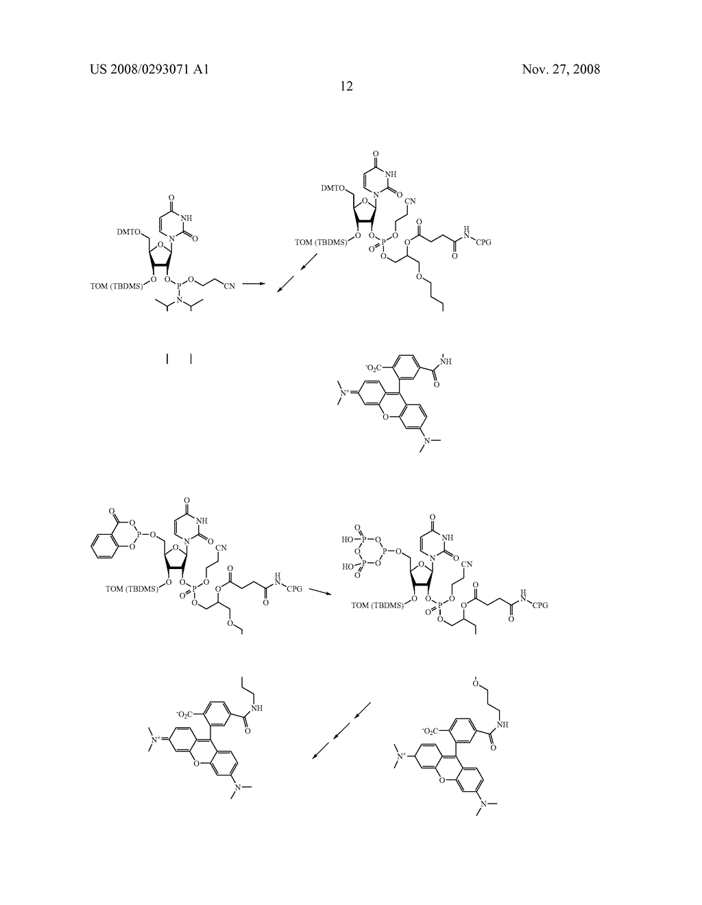 Sequencing and Genotyping Using Reversibly Terminating Nucleotides - diagram, schematic, and image 18