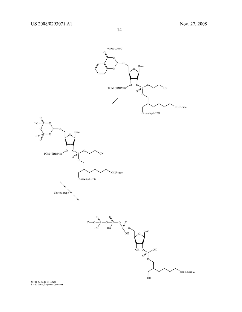 Sequencing and Genotyping Using Reversibly Terminating Nucleotides - diagram, schematic, and image 20