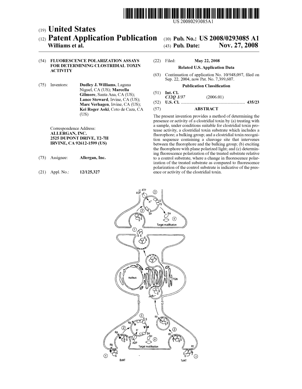 FLUORESCENCE POLARIZATION ASSAYS FOR DETERMINING CLOSTRIDIAL TOXIN ACTIVITY - diagram, schematic, and image 01