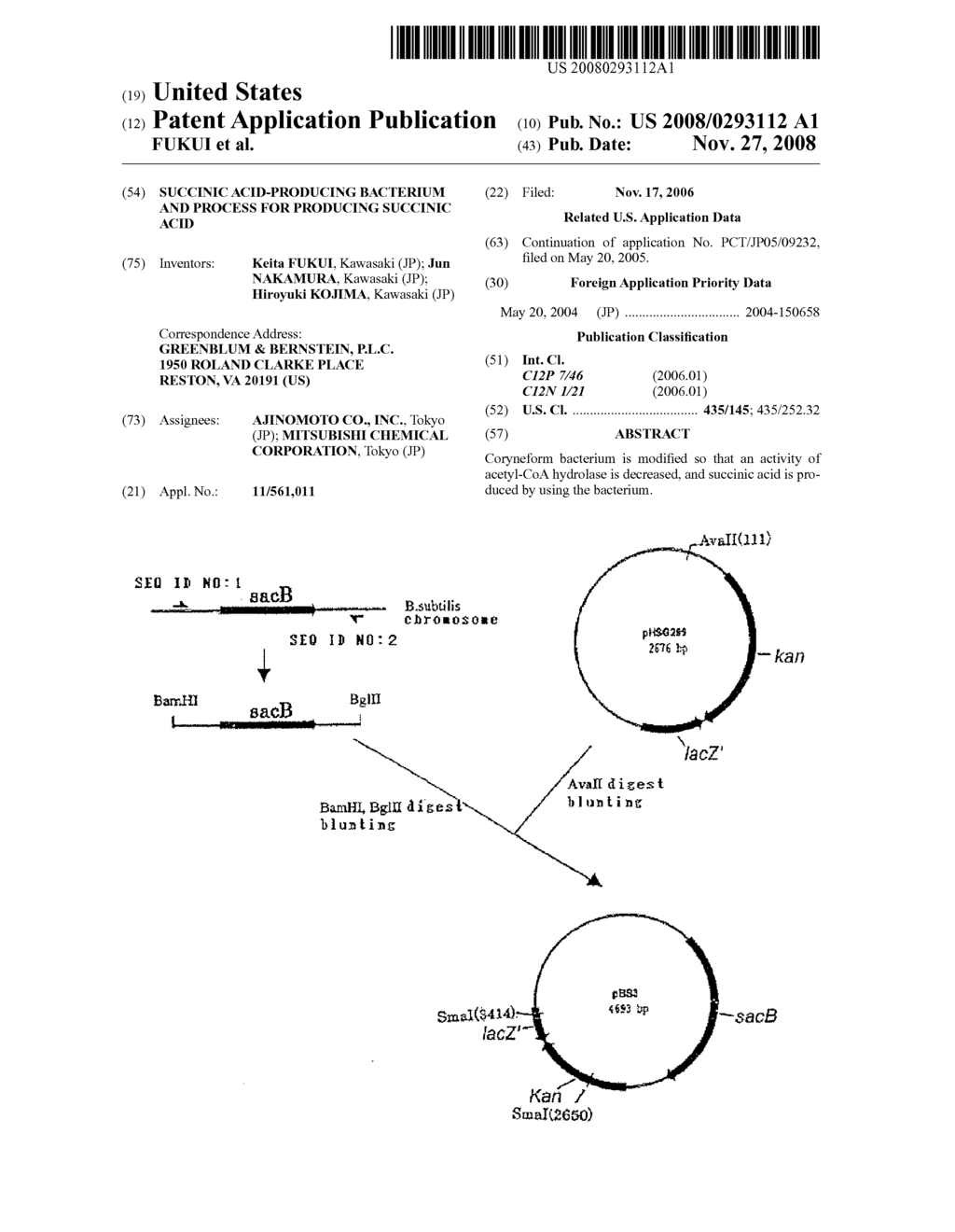 SUCCINIC ACID-PRODUCING BACTERIUM AND PROCESS FOR PRODUCING SUCCINIC ACID - diagram, schematic, and image 01