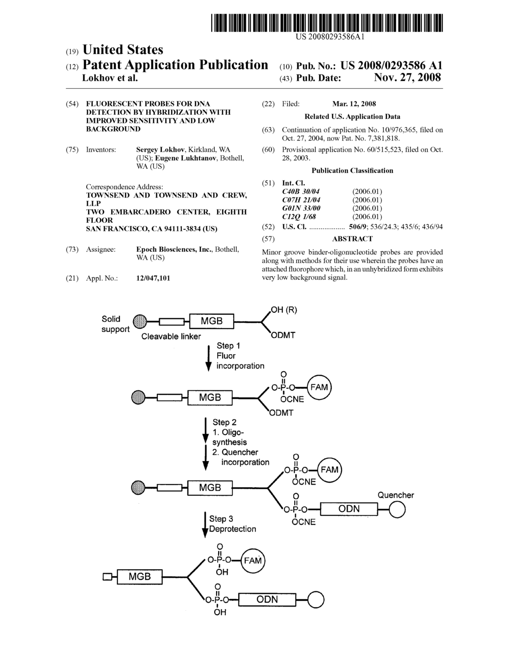 FLUORESCENT PROBES FOR DNA DETECTION BY HYBRIDIZATION WITH IMPROVED SENSITIVITY AND LOW BACKGROUND - diagram, schematic, and image 01