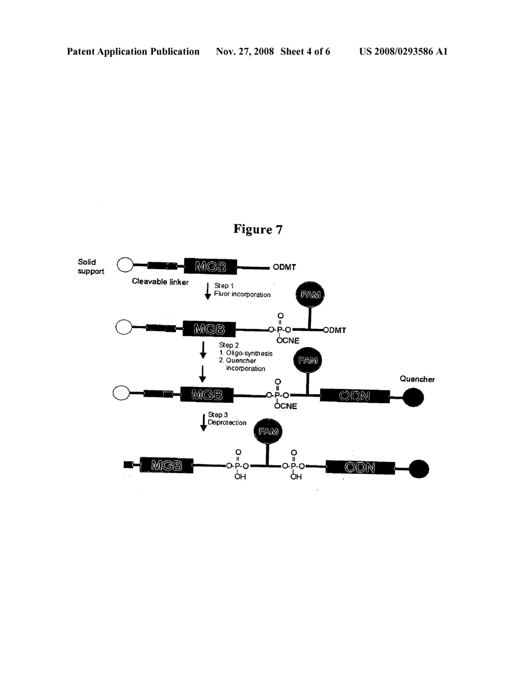 FLUORESCENT PROBES FOR DNA DETECTION BY HYBRIDIZATION WITH IMPROVED SENSITIVITY AND LOW BACKGROUND - diagram, schematic, and image 05