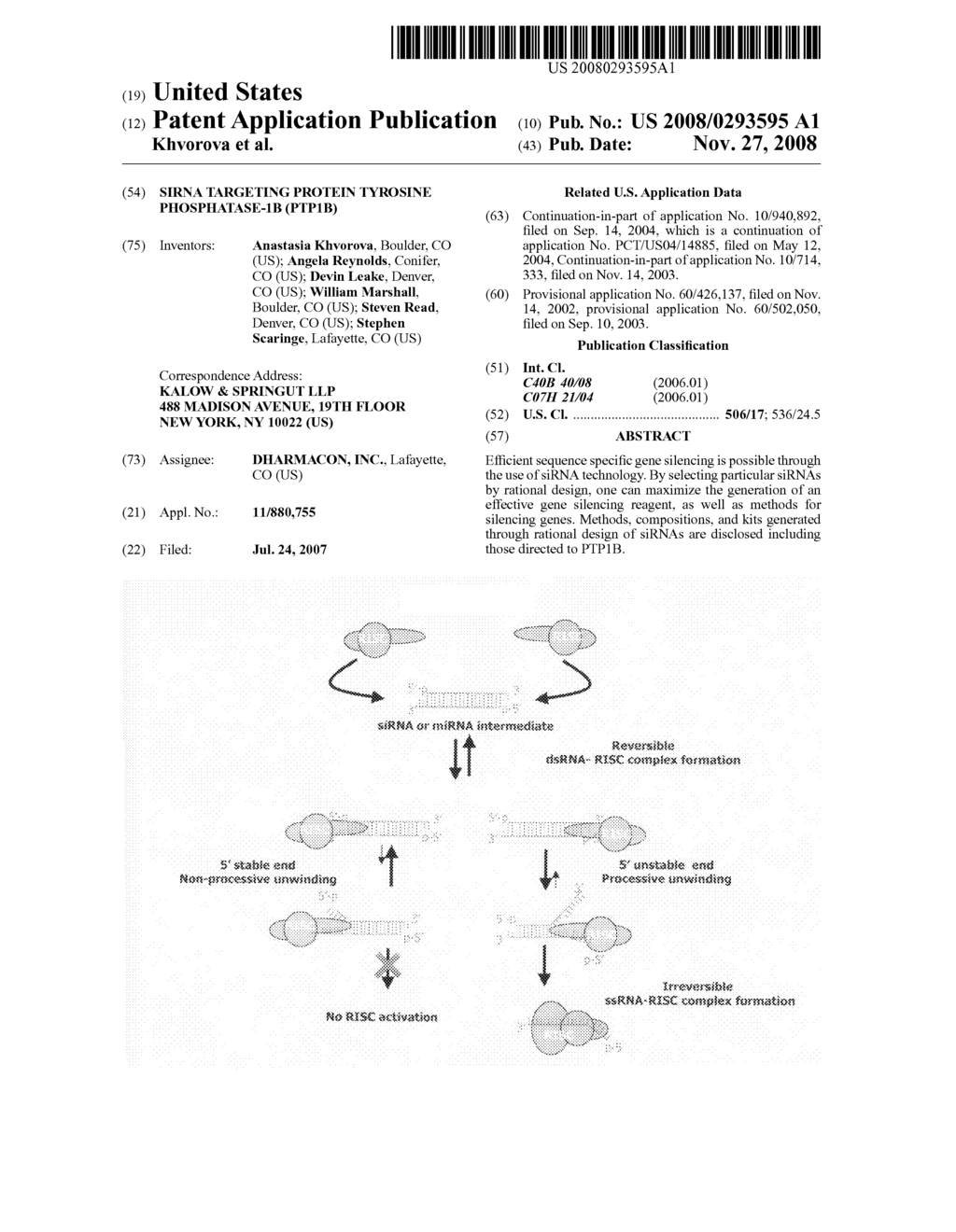 siRNA targeting protein tyrosine phosphatase-1B (PTP1B) - diagram, schematic, and image 01