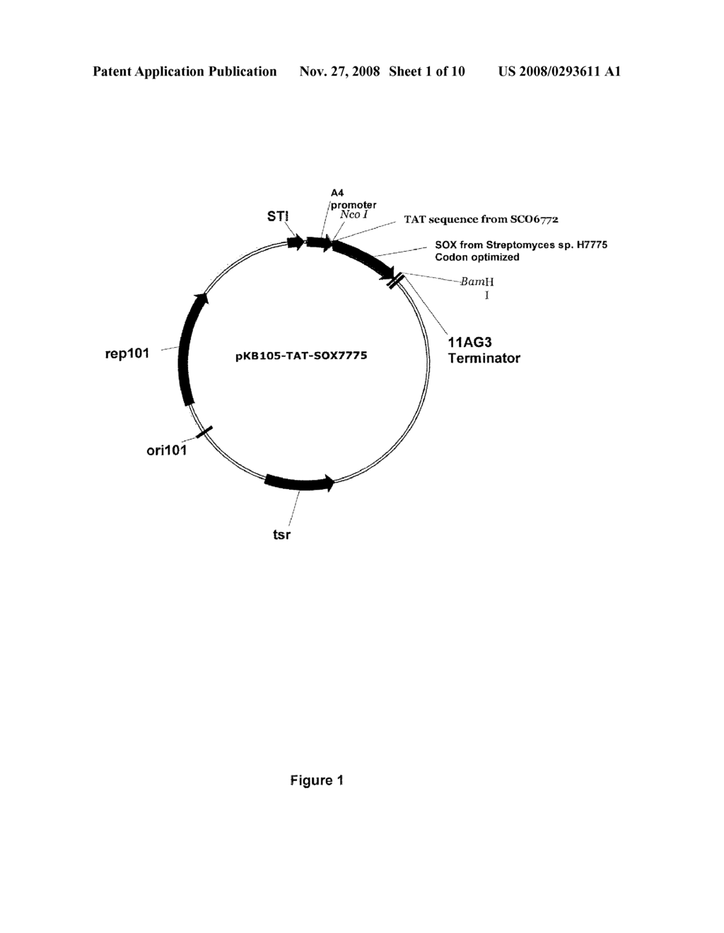 POLYOL OXIDASES - diagram, schematic, and image 02