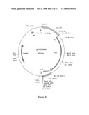 Albumin Fusion Proteins diagram and image