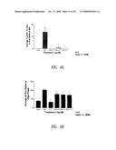 C-MET RECEPTOR REGULATION BY ANGIOTENSIN IV (AT4) RECEPTOR LIGANDS diagram and image