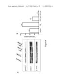 Polypeptide inhibitors of HSP27 kinase and uses therefor diagram and image