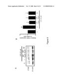 Polypeptide inhibitors of HSP27 kinase and uses therefor diagram and image