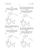 MACROLIDES diagram and image