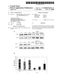 Novel tandem siRNAS diagram and image