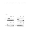 Novel tandem siRNAS diagram and image