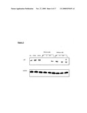 Novel tandem siRNAS diagram and image