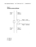 Novel tandem siRNAS diagram and image