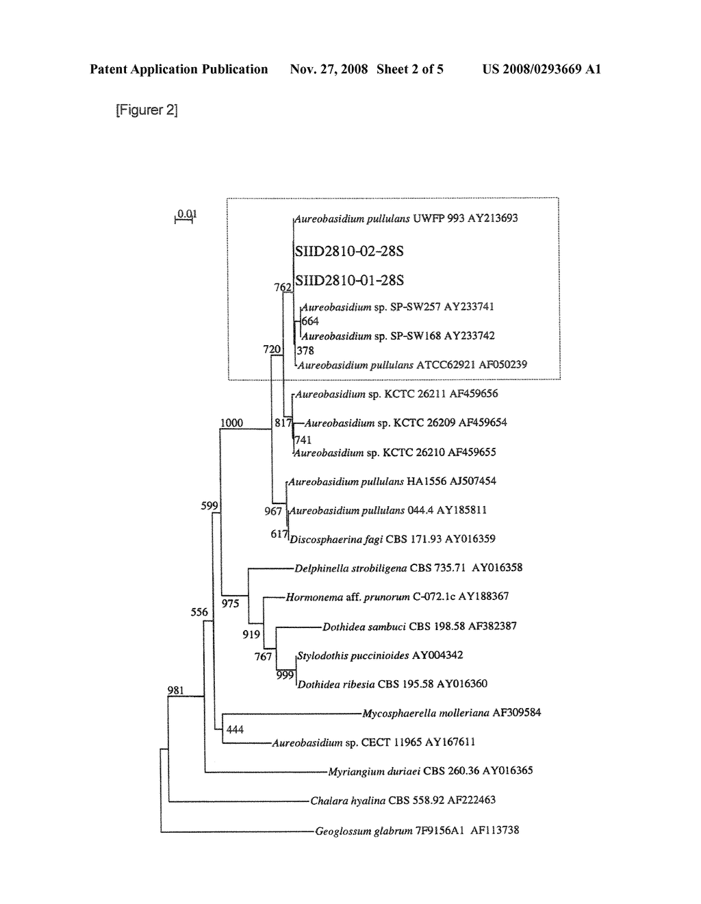 Composition Containing Beta-Glucan, Method of Producing the Same and Foods, Drinks or Skin Moisturizers Containing the Composition - diagram, schematic, and image 03