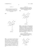 SPIROINDOLINONE DERIVATIVES diagram and image