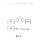 COMPOUNDS FOR MODULATING T-CELLS diagram and image