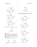 Chemical Synthesis of a Highly Potent Epothilone diagram and image