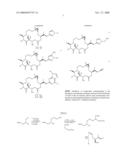 Chemical Synthesis of a Highly Potent Epothilone diagram and image