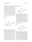 Chemical Synthesis of a Highly Potent Epothilone diagram and image