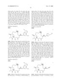 Chemical Synthesis of a Highly Potent Epothilone diagram and image