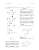 Chemical Synthesis of a Highly Potent Epothilone diagram and image