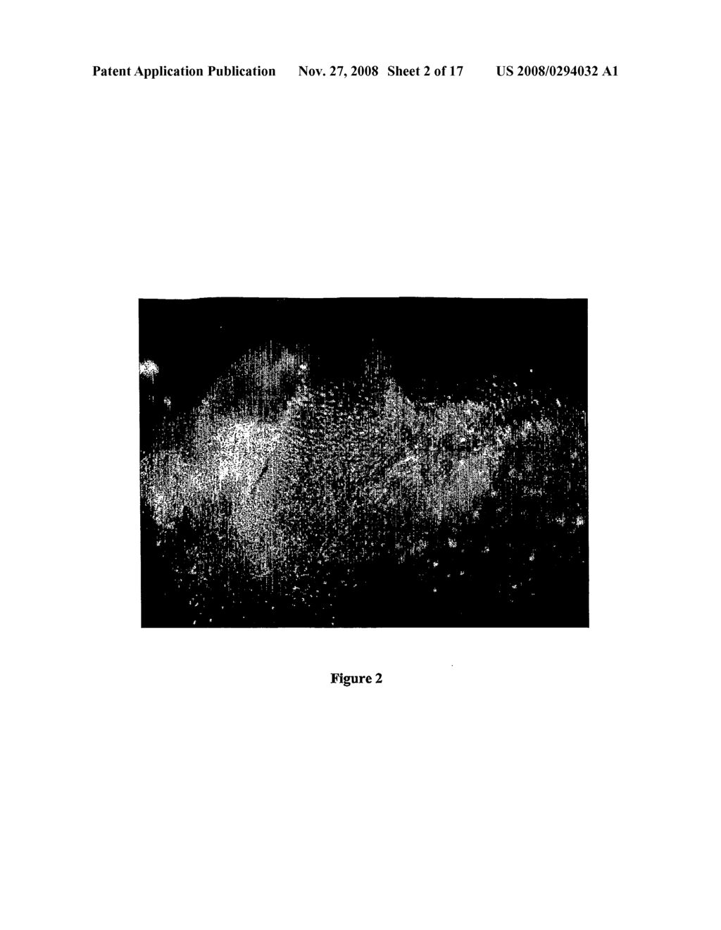 Spectral Imaging of Biological Samples - diagram, schematic, and image 03