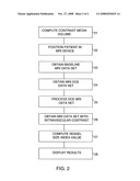 VESSEL SIZE IMAGING FOR ANTIANGIOGENIC THERAPY diagram and image